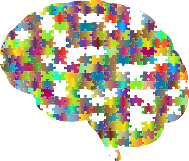 scanners cerveau