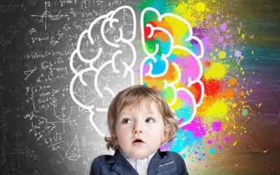 Comprendre le comportement des enfants grâce aux étages du cerveau