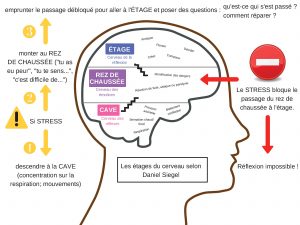 stress cerveau enfants émotions