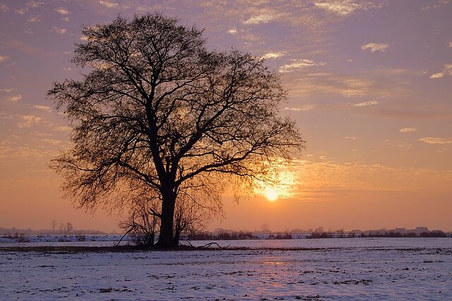 angoisse solitude