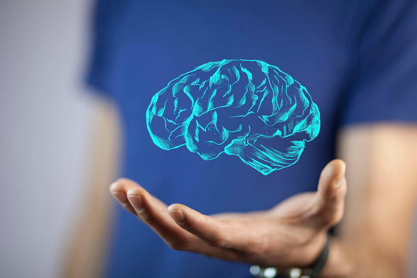 Les approches neurocognitives et somato-cognitives