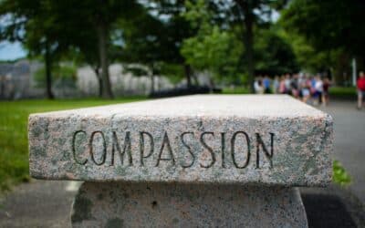 La compassion au travail : le début d’une nouvelle ère ?